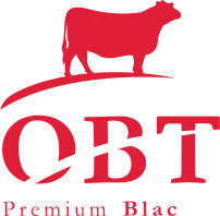 OBT